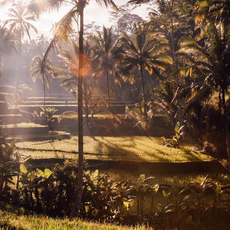 Entertainment zone at night in France